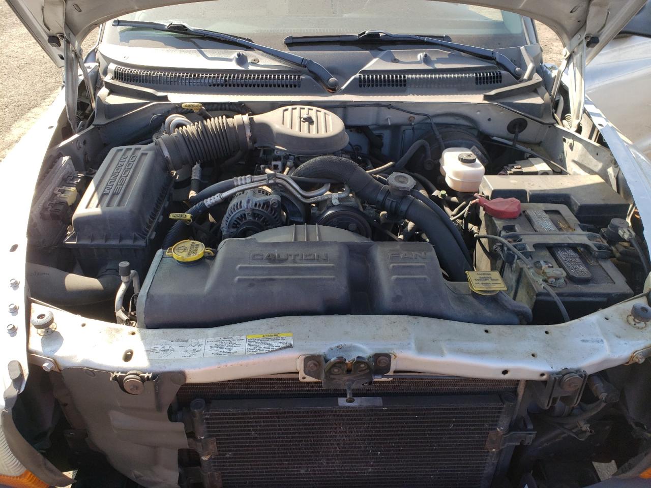 2003 Dodge Dakota - Image 11