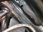 2022 Indian Motorcycle Co. Ftr  zu verkaufen in Elgin, IL - Side