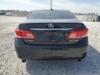 2010 Lexus Es 350 de vânzare în Lawrenceburg, KY - Rear End