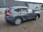 2013 Honda Cr-V Exl for Sale in Davison, MI - Top/Roof