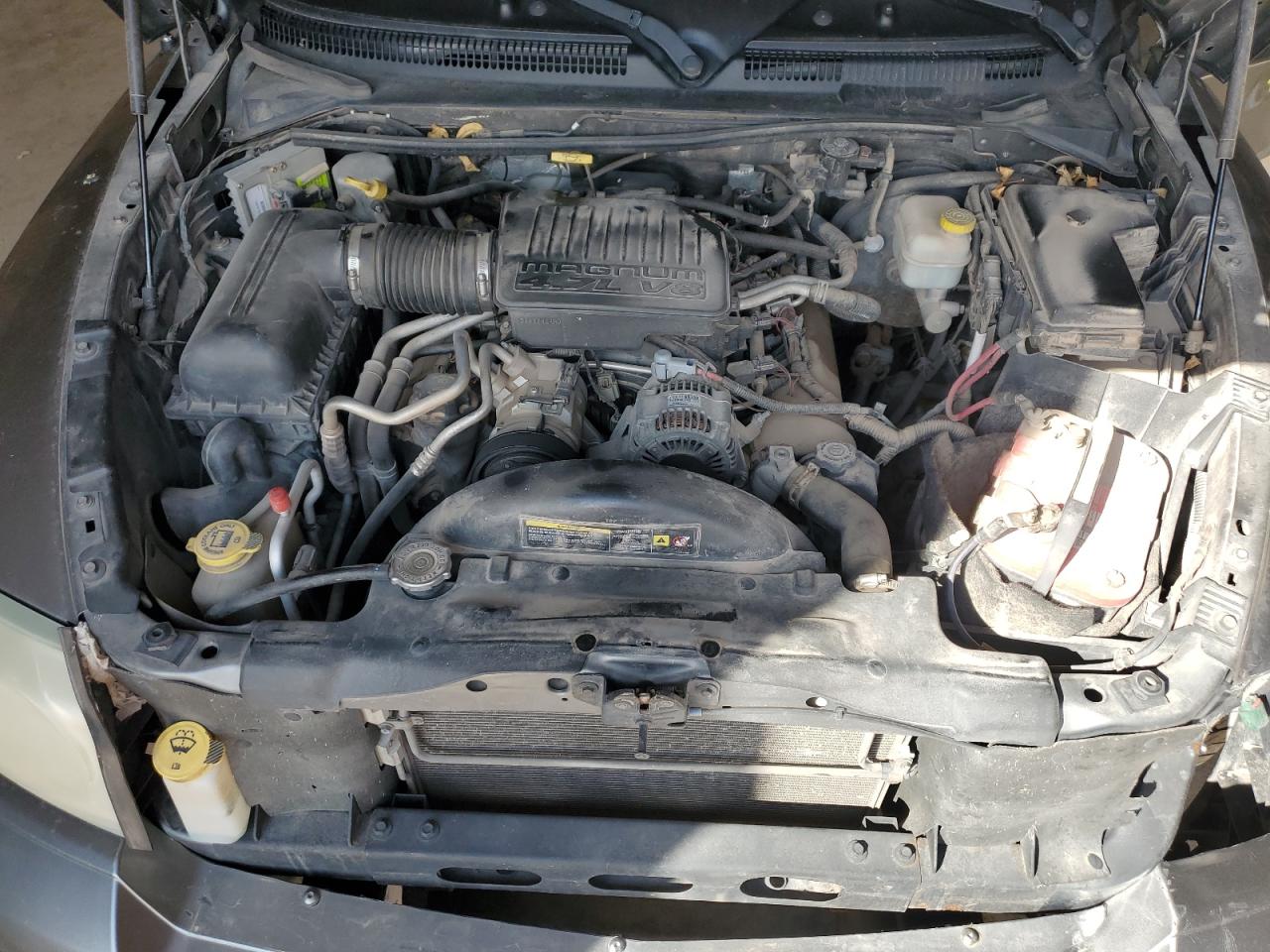 2005 Dodge Dakota Quad Slt VIN: 1D7HW48N05S238196 Lot: 50662145
