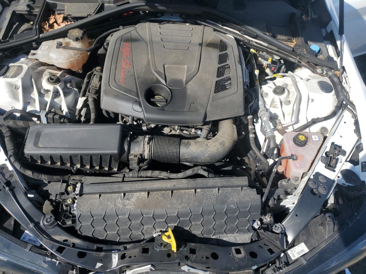 2019 Alfa Romeo Giulia - Image 12
