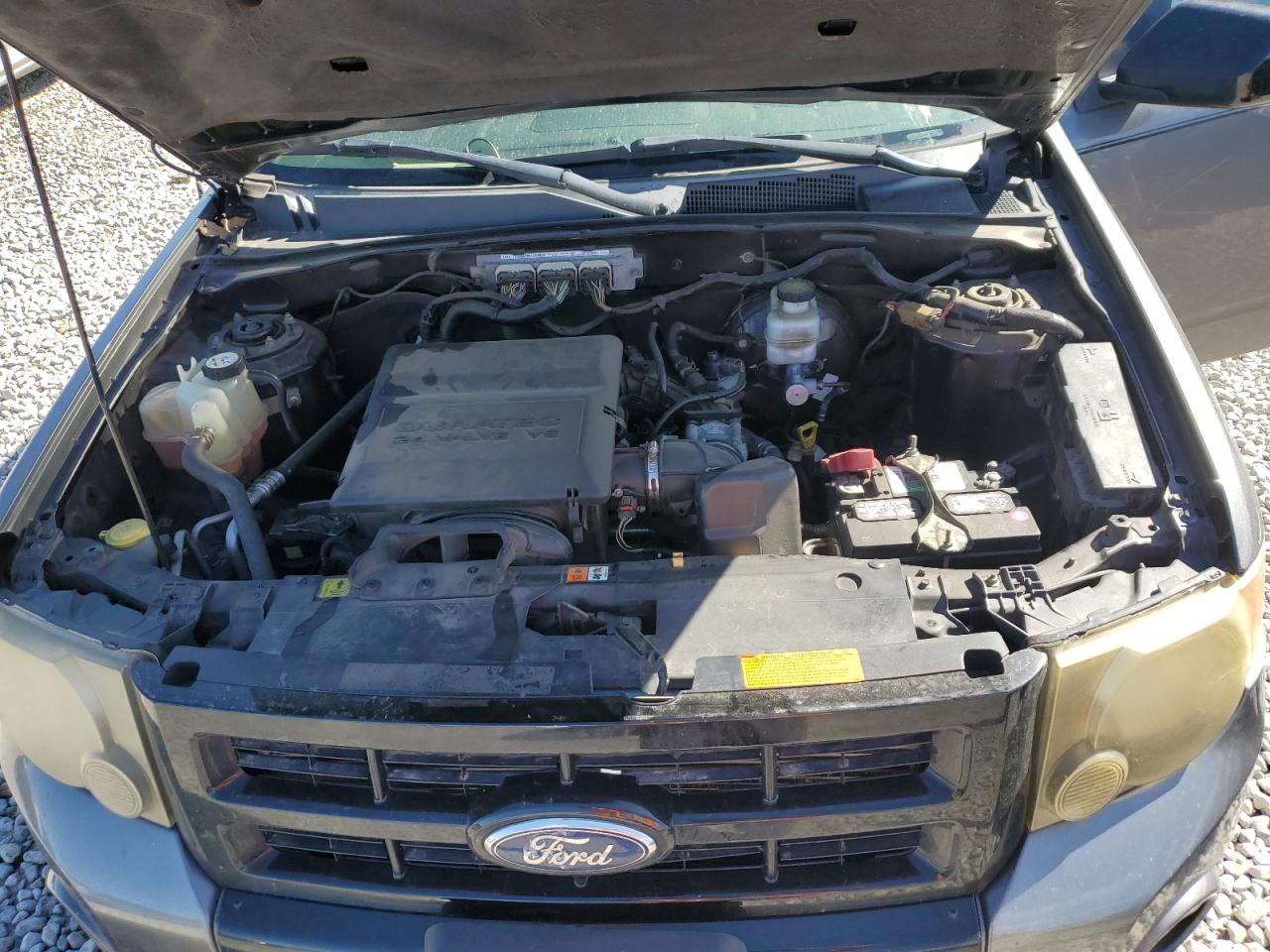 1fmcu9dg3cka87281 1FMCU9DG3CKA87281 2012 Ford Escape Xlt