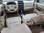 2012 Ford Escape Limited en Venta en Marlboro, NY - Front End