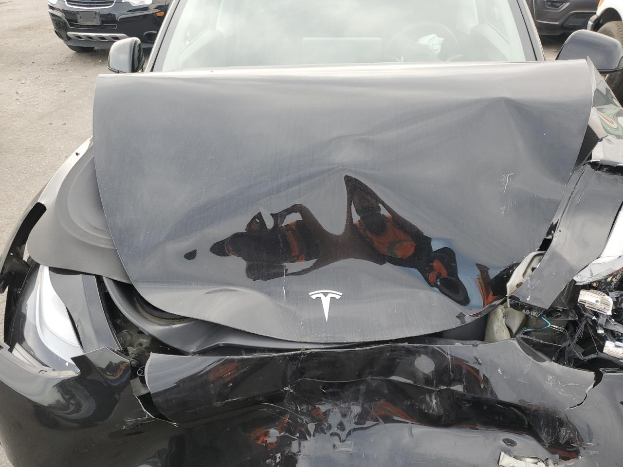 2023 Tesla Model Y VIN: 7SAYGAEE4PF833159 Lot: 47582255
