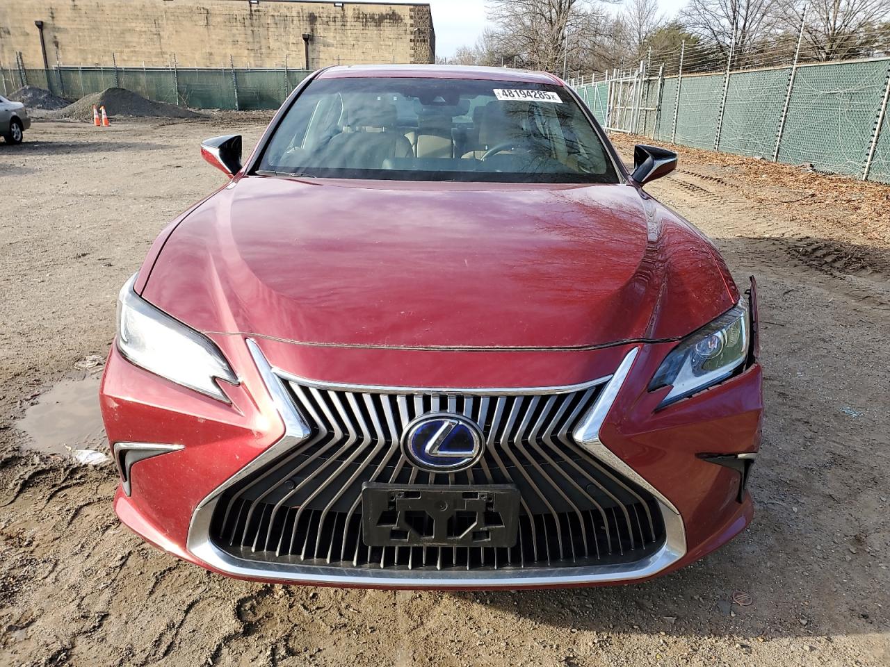 2020 Lexus ES - Image 5