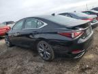 2021 Lexus Es 350 Base for Sale in Elgin, IL - Front End