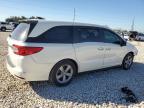 2019 Honda Odyssey Exl იყიდება Temple-ში, TX - Front End