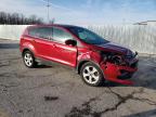 2013 Ford Escape Se de vânzare în Rogersville, MO - Front End