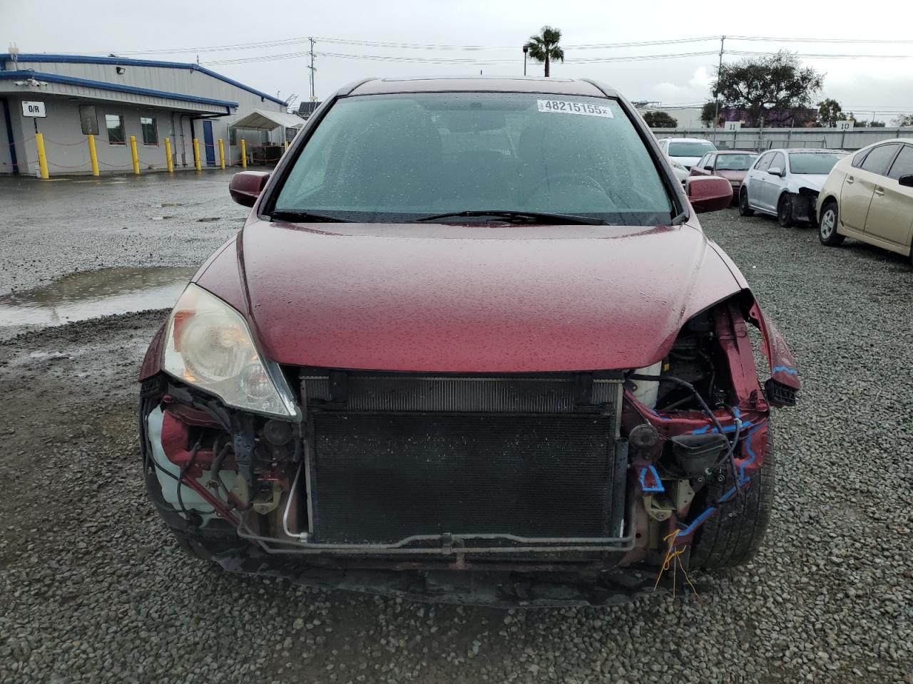 2010 Honda CR-V - Image 5