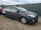 2010 Toyota Prius  for Sale in Finksburg, MD - Undercarriage