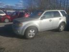 2011 Ford Escape Xlt იყიდება Arlington-ში, WA - Minor Dent/Scratches