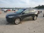 Harleyville, SC에서 판매 중인 2024 Ford Escape Active - Side