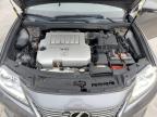 2014 Lexus Es 350   de vânzare în Apopka, FL - Rear End