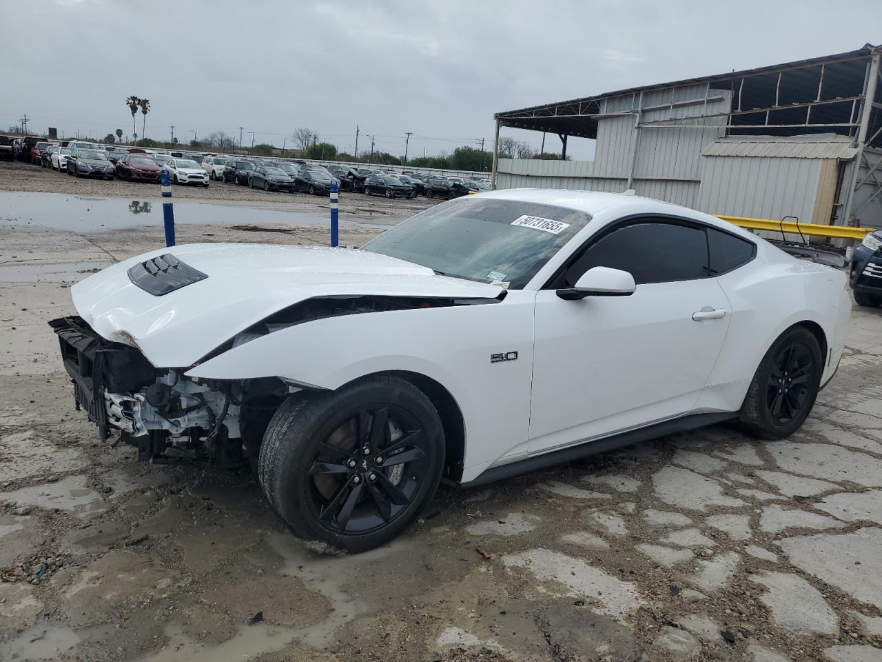 2024 Ford Mustang Gt იყიდება Corpus Christi-ში, TX - Front End