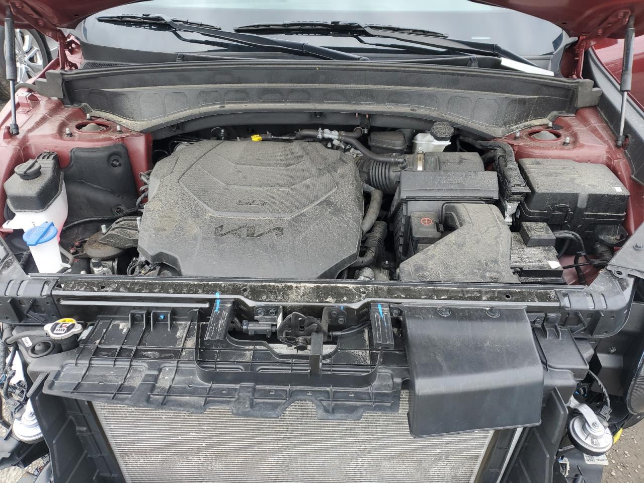 2024 Kia Telluride Ex VIN: 5XYP3DGC5RG443202 Lot: 49665185