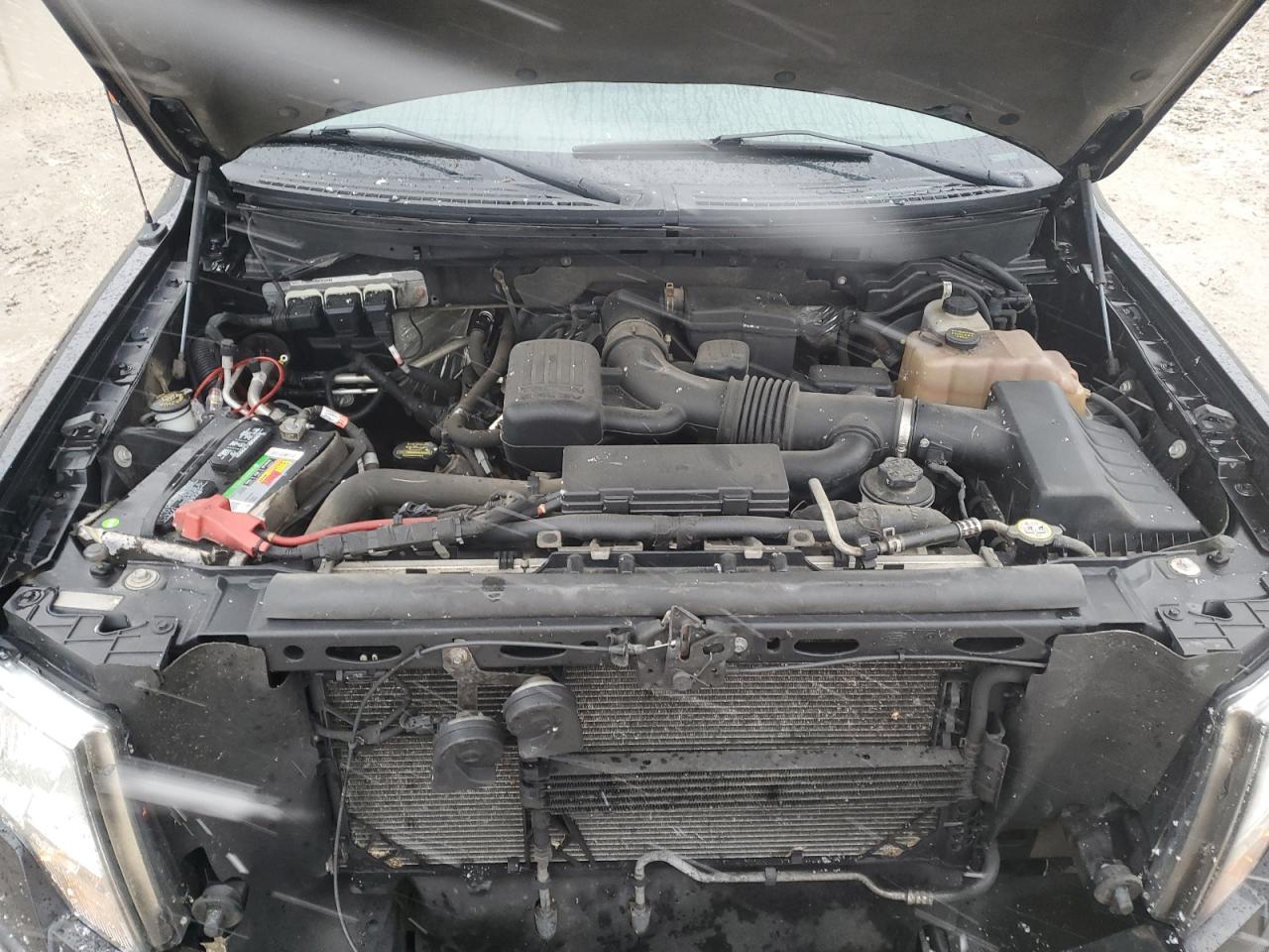 2010 Ford F-150 - Image 11