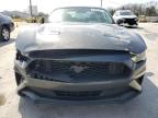 2020 Ford Mustang  for Sale in Lebanon, TN - All Over