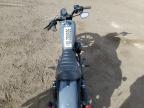 Brighton, CO에서 판매 중인 2022 Harley-Davidson Xl883 N - All Over