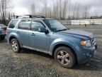 2012 Ford Escape Limited იყიდება Arlington-ში, WA - Front End