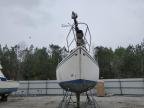 1997 Cata Sailboat for Sale in Harleyville, SC - Water/Flood
