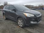 2013 Ford Escape Sel იყიდება East Granby-ში, CT - Minor Dent/Scratches