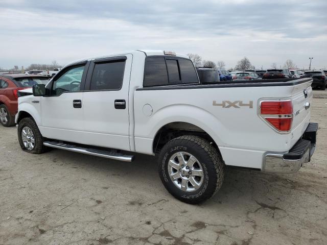 Пікапи FORD F-150 2013 Білий