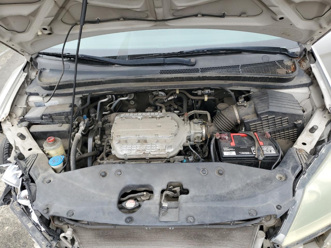 2007 Honda Odyssey Lx VIN: 5FNRL38217B003331 Lot: 50568855