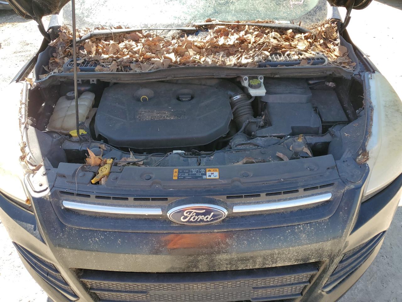 2013 Ford Escape - Image 12