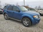 2009 Ford Escape Xlt for Sale in Wayland, MI - Front End