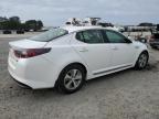 2014 Kia Optima Hybrid en Venta en Lumberton, NC - Mechanical