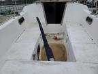 1997 Cata Sailboat for Sale in Harleyville, SC - Water/Flood