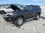 2024 Toyota 4Runner Sr5/Sr5 Premium for Sale in Lawrenceburg, KY - Front End