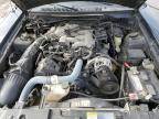 2004 Ford Mustang  на продаже в Louisville, KY - Hail