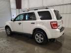 2009 Ford Escape Xlt იყიდება Ham Lake-ში, MN - Front End