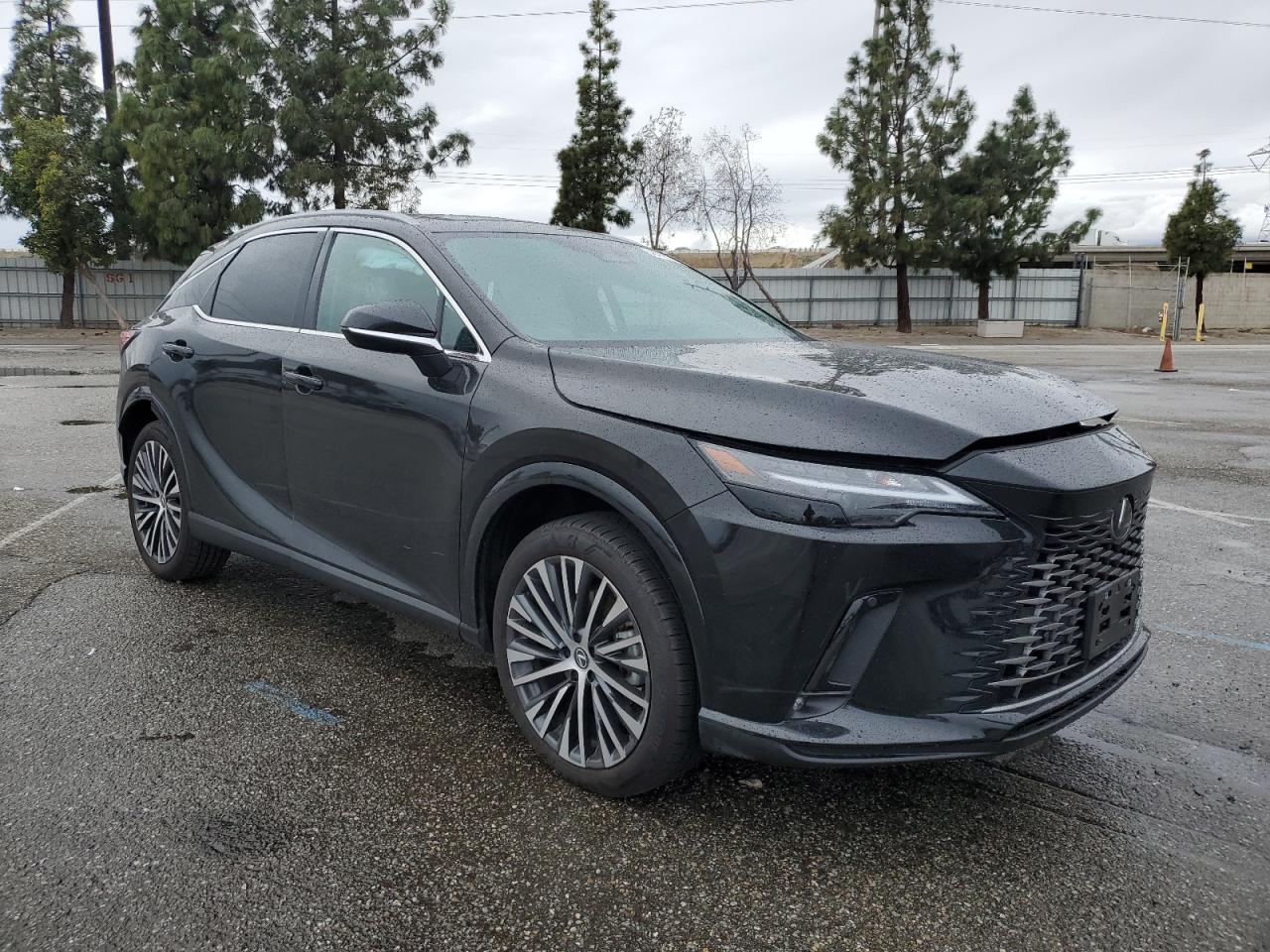 2023 Lexus RX - Image 4