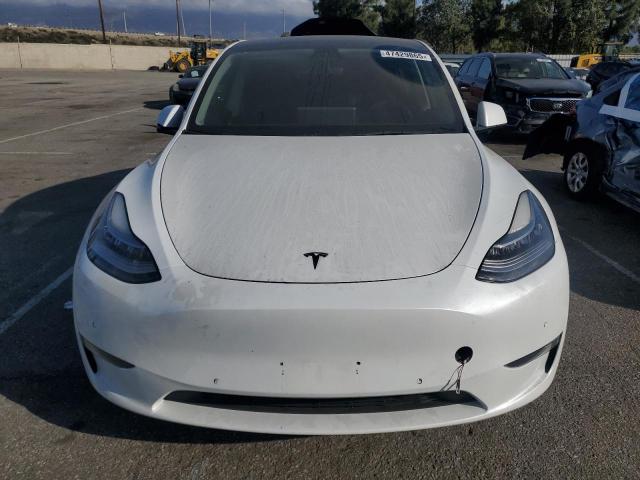  TESLA MODEL Y 2021 Белы