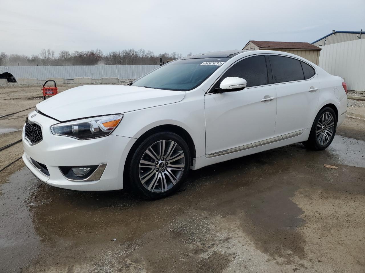 2016 Kia Cadenza Luxury for Sale in Louisville, KY - Front End