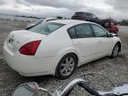 2004 Nissan Maxima Se for Sale in Walton, KY - Front End