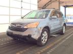 2008 HONDA CR-V EXL à vendre chez Copart FL - TAMPA SOUTH