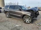2016 Cadillac Escalade Luxury للبيع في Wayland، MI - Front End