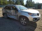 2013 Kia Sorento Ex   zu verkaufen in Graham, WA - Side