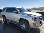 2015 Cadillac Escalade Premium for Sale in Littleton, CO - Front End