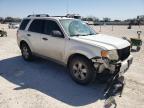 2010 Ford Escape Xlt за продажба в New Braunfels, TX - Front End