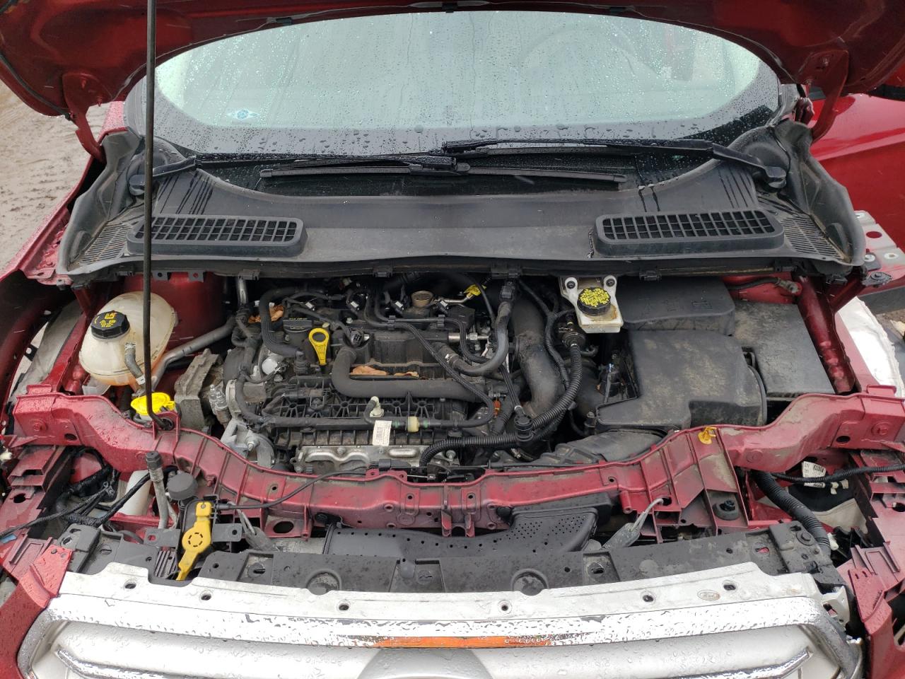 2019 Ford Escape - Image 12