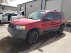 2005 Ford Escape Xlt en Venta en Albuquerque, NM - Front End