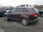 2011 Kia Sorento Base na sprzedaż w Marlboro, NY - Front End
