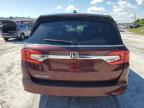 2018 Honda Odyssey Exl for Sale in Fort Pierce, FL - Front End