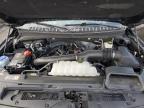 2024 Ford Expedition Limited იყიდება Indianapolis-ში, IN - Front End