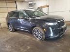 2023 Cadillac Xt6 Premium Luxury за продажба в Ham Lake, MN - Side